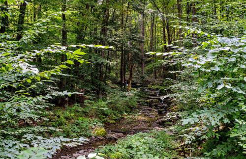 Spacious Villa Rental with a Pool for a Large Group near Catskill Mountains, New York - Photo 64