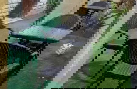 Narmar Hotel - Foto 24