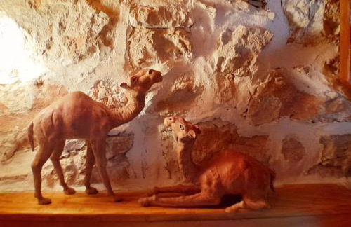 Hvar Architect's House - Photo 66