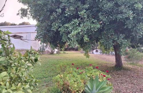 Casa Rural El niño Santamaría - Foto 20