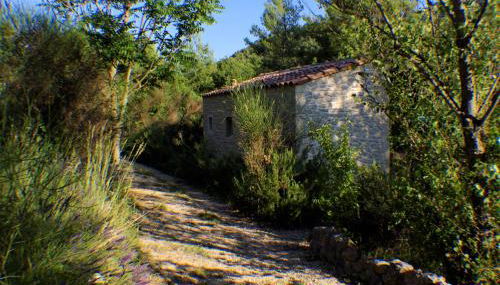 Domaine de bois joli - Foto 4