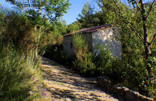 Domaine de bois joli - Foto 4