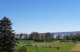 Ferienwohnung in Bierdorf im Erdgeschoss - Foto 24