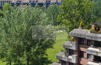Estudio Parque Fluvial By Silastur - Foto 27