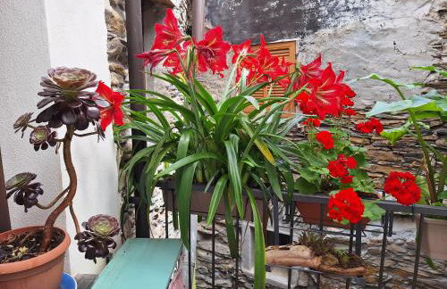 La Casa delle Meraviglie - Foto 31