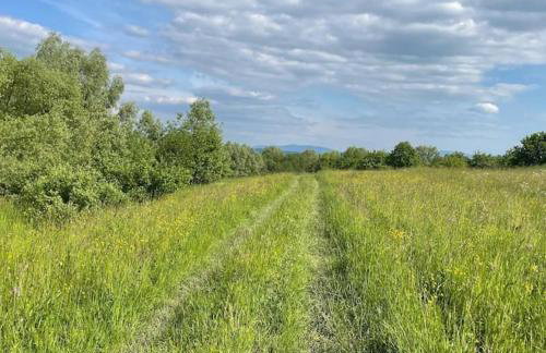 Domki na Górniej Łące - Domek Górny - Foto 6