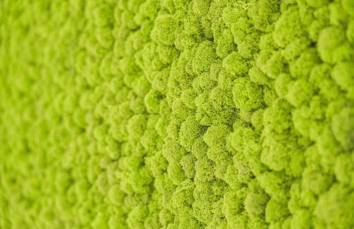 SeePanorama-Deluxe-Sauna-Massage-Garten-Tranpolin-Tischkicker-Tropical-BBQ-Parken - Foto 35