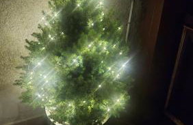 Sudety Canna House - Foto 15