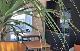 Casa de Moledo jacuzzi e sauna - Foto 33