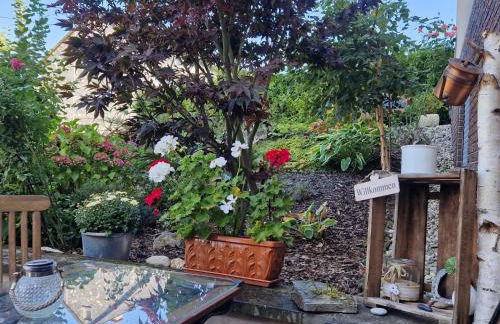 Ferienwohnung im Moseltal - Foto 6