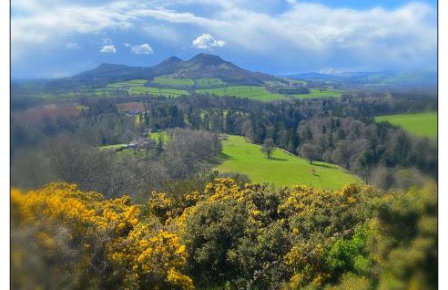 Mill Cottage Garden Studio nr Melrose - Foto 21