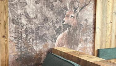 Al Truciolo - Foto 3