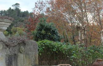 Casa do Barreiro de Cima - Foto 13