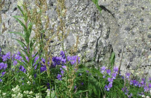 Chalet les Eglantines - Foto 24