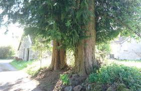 Ferme De La Grange Du Bas - Foto 8