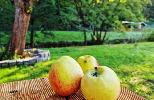 Holzhaus mit Kamin - Am Forellenfluss - Foto 28