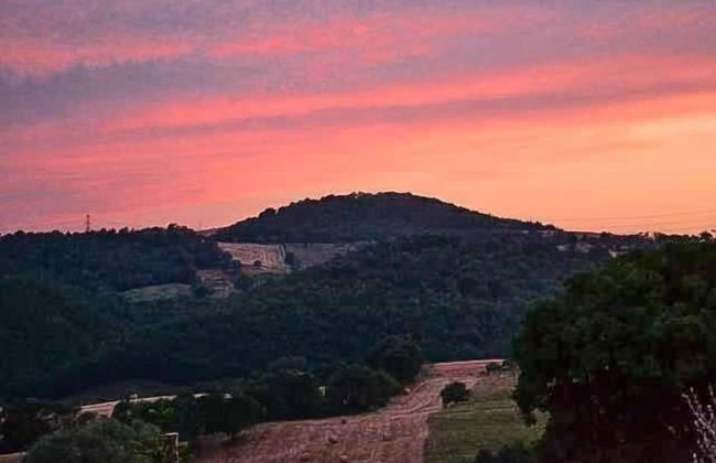 Poggio Al Vento - Photo 20