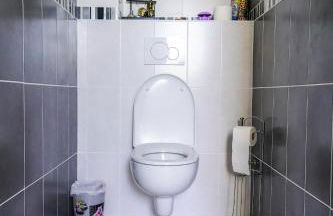 Les Bleuets - Erdivines - Foto 67