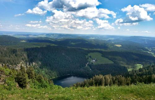 Ferienwohnung Kraftquelle im Wohnpark SchwarzwaldBlick, Bernau - Foto 21