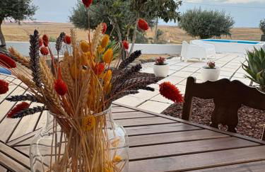 Canto da Planície - Foto 24