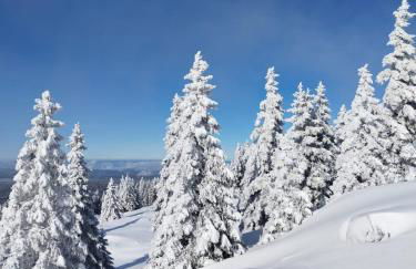 Gîte de la Diligence - Foto 34