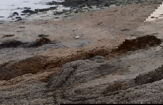 Newly Refurbished 2nd Floor Apartment Lil Nauti - Foto 25