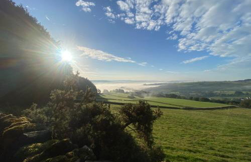 Hollow Brook Cottage A Quiet Peak District Stay Surrounded by Nature Grown-Ups Only - Photo 21