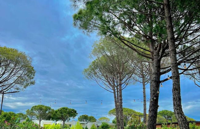 Cozy Studio With Pool Beach Access - Lulebora - Foto 34