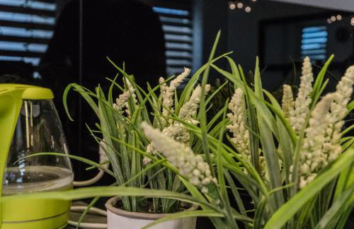 Apartamenty Balbina 1 - Foto 19