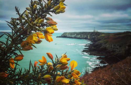 Saint-Malo Apartment - Foto 24