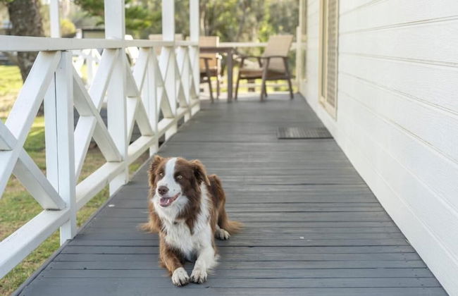 Barlings Beach Holiday Park - Foto 42