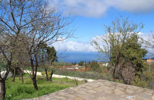 Falcon Crest - Photo 42