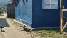 Casa pé na areia no Estaleiro - Foto 5