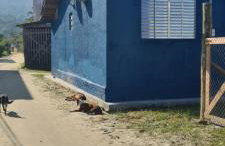 Casa pé na areia no Estaleiro - Foto 5
