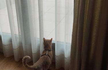 STRAVINSKY Apartments Avignon - individual wifi 1Gb - Foto 13