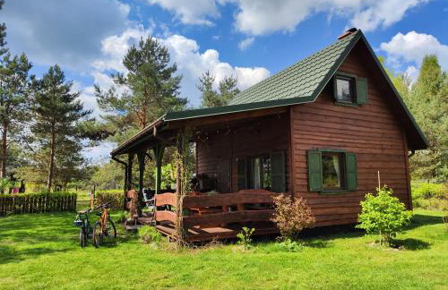 Pożarowo domek na mazowszu - Foto 1