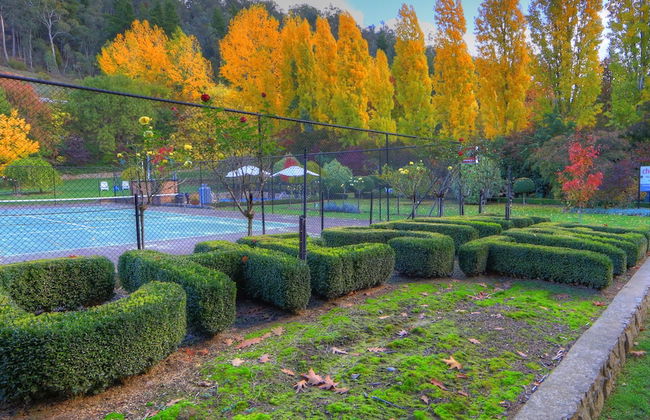 Chestnut Tree Holiday Apartments - Foto 14