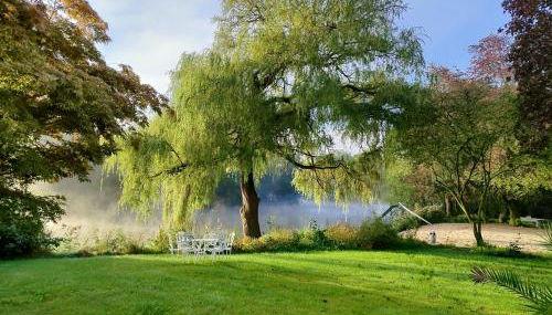 Seehof Reuter Ferienhof - Photo 2, Garden, Garden view