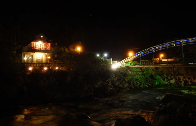 Dogs and Fish Dream Land - Foto 41