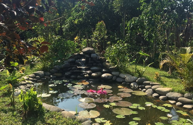 Joglo Java - Foto 22