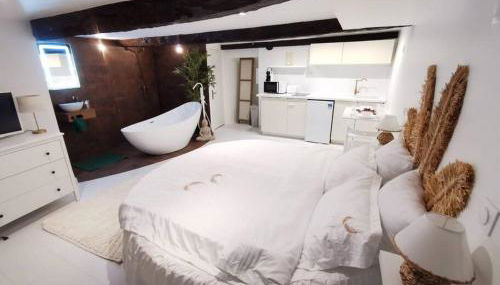 Studio équipé avec Lit rond / baignoire ilot / Table massage Aux Arcs - Foto 2