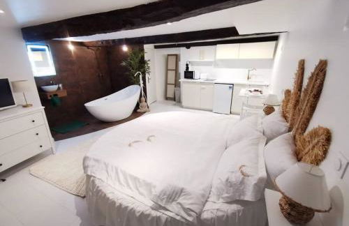 Studio équipé avec Lit rond / baignoire ilot / Table massage Aux Arcs - Foto 2