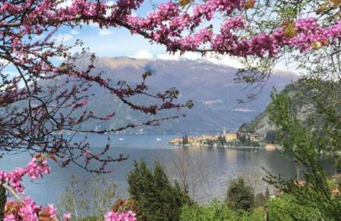 La punta di Varenna - Foto 6