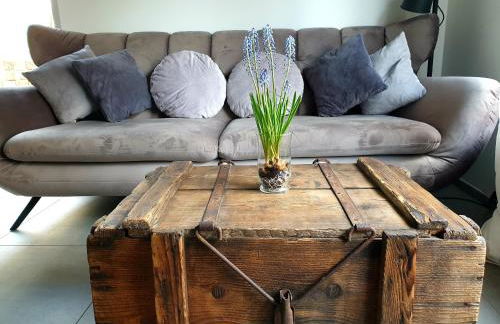 Zur alten Rebe Ferienhaus und Weingut - Foto 15