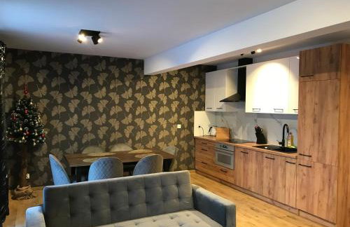 Apartament Brązowy 12/1 - Foto 1