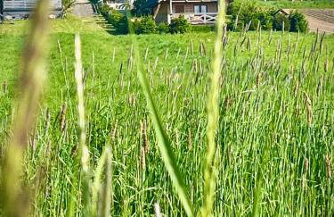 Domki całoroczne DOMKOWSTWO - Foto 12