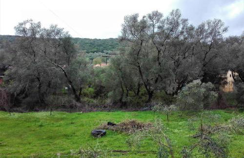 Katerina's home - Foto 14