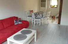 Kameralny Odpoczynek Nad Jeziorem - Photo 9