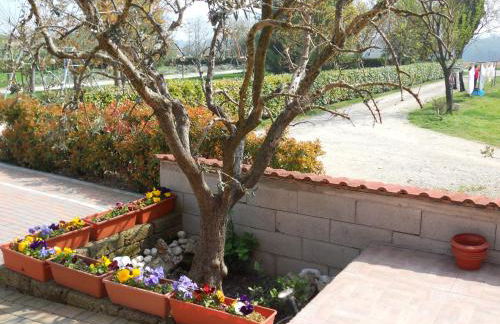 Agriturismo Ai Tre Fienili - Foto 19