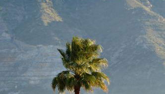 Finca Bellas Vistas - Foto 5